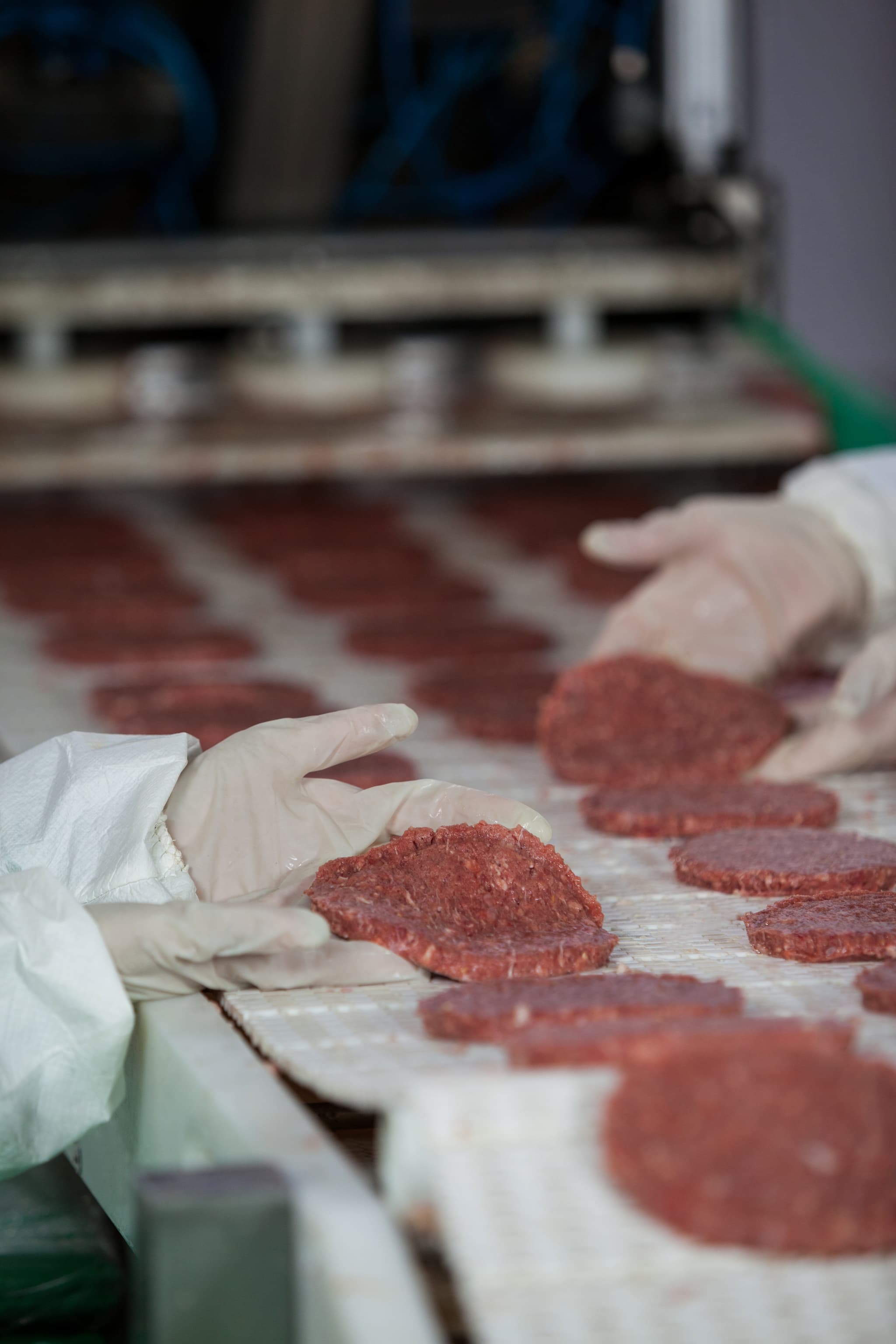 Meat Products Production